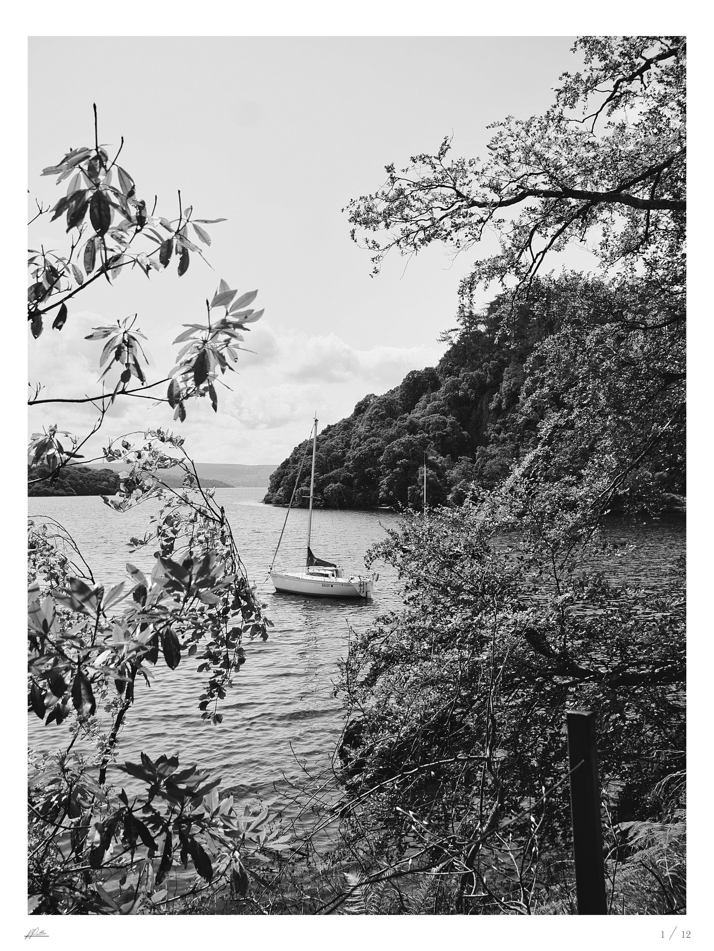 August 2024 - Sail Boat on Loch Lomond